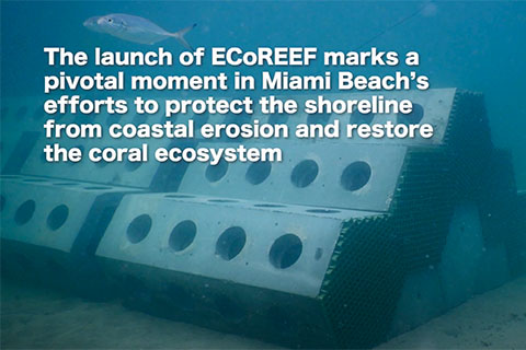 ecoreef