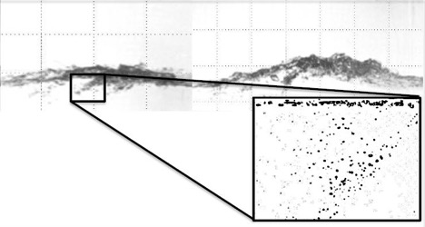 Chemical Oceanography, Collaborative Research with Wellesley Univ.