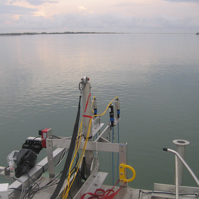 Field Observations
